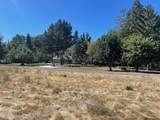 377 Pelton Lane - Photo 90