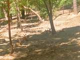 939 Beaver Creek Road - Photo 53
