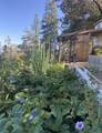 2850 Quail Run Road - Photo 51