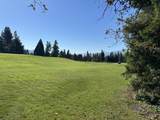 91 Black Oak Drive - Photo 61