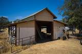 11441 Meadows Road - Photo 48