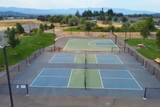 3861 Calle Vista Drive - Photo 68