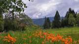 44335 Crater Lake Highway - Photo 11