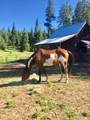 44335 Crater Lake Highway - Photo 45