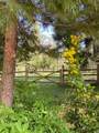 44335 Crater Lake Highway - Photo 49
