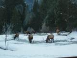 44335 Crater Lake Highway - Photo 57