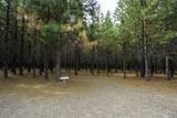44335 Crater Lake Highway - Photo 59