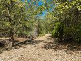 2550 Granite Hill Road - Photo 41