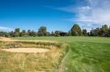 22936 Ghost Tree Lane - Photo 42
