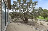 22936 Ghost Tree Lane - Photo 52