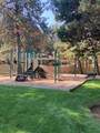 19717 Mount Bachelor Drive - Photo 12