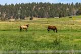 7122 Langell Valley Road - Photo 3