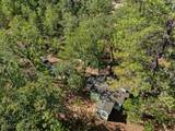 798 Covered Bridge Road - Photo 37