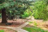405 Magerle Lane - Photo 5
