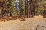 22929 Horseshoe Way - Photo 50