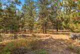 22604 Horseshoe Way - Photo 51