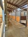 61416 Cougar Trail - Photo 23