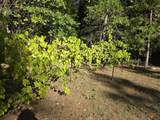 290 Crest Drive - Photo 13