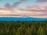 70179 Atherium - Photo 70
