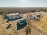 24605 Dodds Road - Photo 46