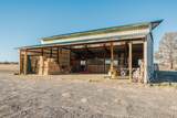24605 Dodds Road - Photo 47