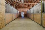 24605 Dodds Road - Photo 50