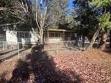 508 Bumblebee Lane - Photo 3