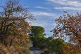 1379 Humbug Creek Road - Photo 10