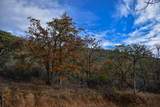 1379 Humbug Creek Road - Photo 11