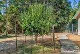 4059 Ditch Creek Road - Photo 40