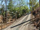 1050 Wards Creek Road - Photo 15