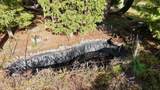 440 Red Blanket Road - Photo 36