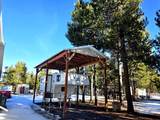 1287 Fort Jack Pine Drive - Photo 13