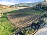 70 Vineyard View Circle - Photo 29