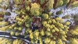 70368 Mahonia - Photo 48