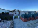 8401 Old Stage Road - Photo 33