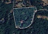 420 Crystal Springs Road - Photo 2