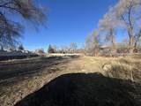 1440 4th Street - Photo 4
