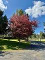 20275 Rogers Road - Photo 36