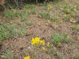 0 Partin Way - Photo 11