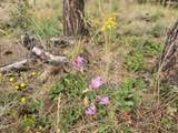 0 Partin Way - Photo 13