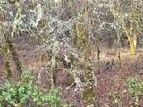 0 Mcmullen Creek Road - Photo 4