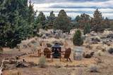 17783 Chaparral Drive - Photo 45