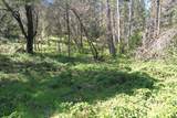 3356 Little Applegate Road - Photo 62