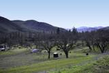 12940 Highway 234 - Photo 1