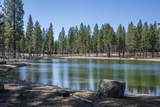 17785 Everwild Circle - Photo 49