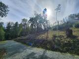 11238 Evans Creek Road - Photo 42