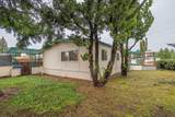 1077 Lee Roze Lane - Photo 30