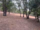 50 Tenney Drive - Photo 27
