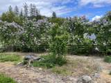 6901 Old Stage Road - Photo 21
